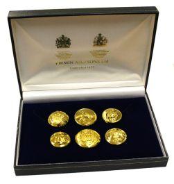 Special Edition Stamping of Civil War Era Buttons